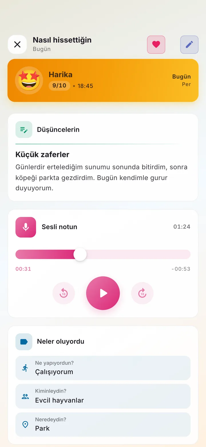 Yazılı not, sesli not ve o sırada neler olduğunu içeren bir ruh hali kaydı