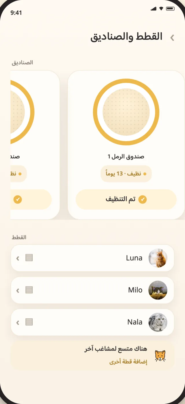 شاشة القطط والصناديق في CatLitter تعرض لونا ومايلو ونالا في عرض هادئ واحد
