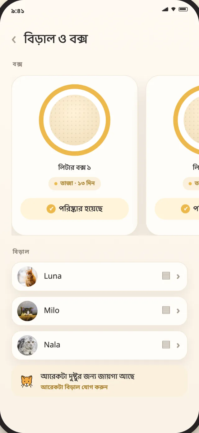 CatLitter-এর বিড়াল ও বক্স স্ক্রিনে এক শান্ত ভিউতে লুনা, মাইলো ও নালা