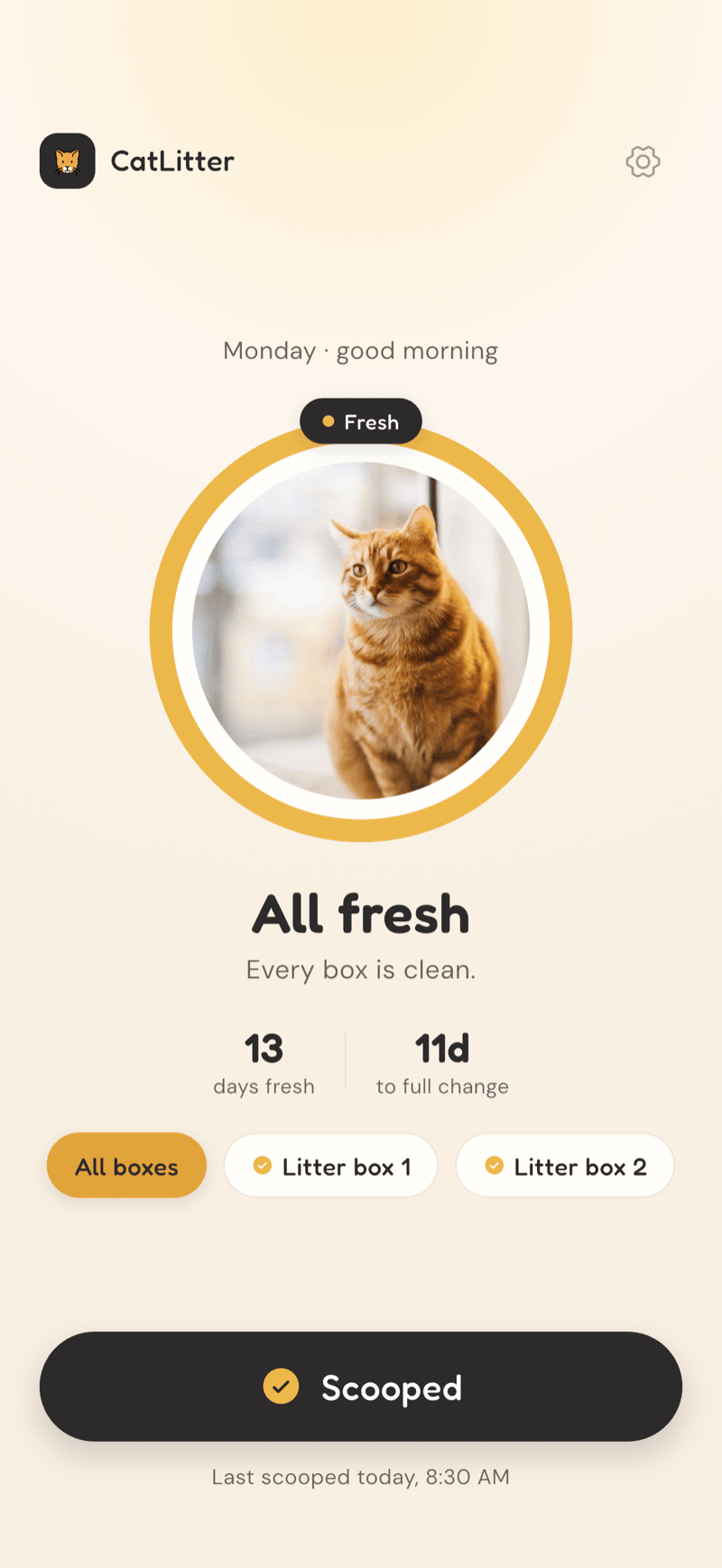 CatLitter home screen showing the freshness ring, all boxes fresh, and a Scooped button