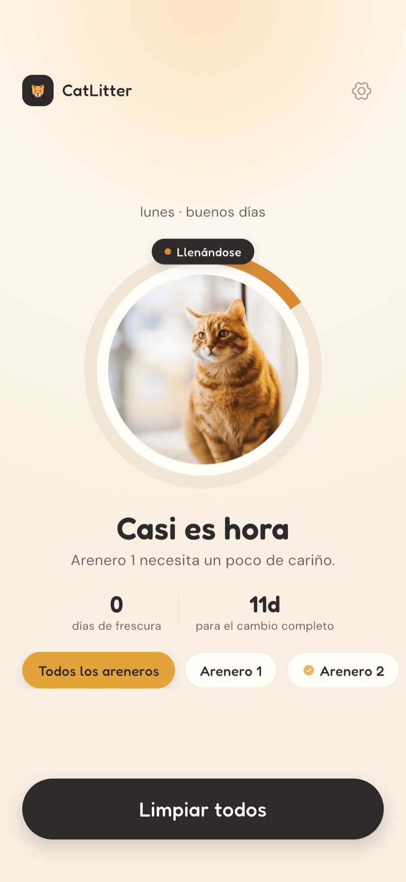 Inicio de CatLitter con una caja llenándose, días frescos y tiempo para el cambio completo