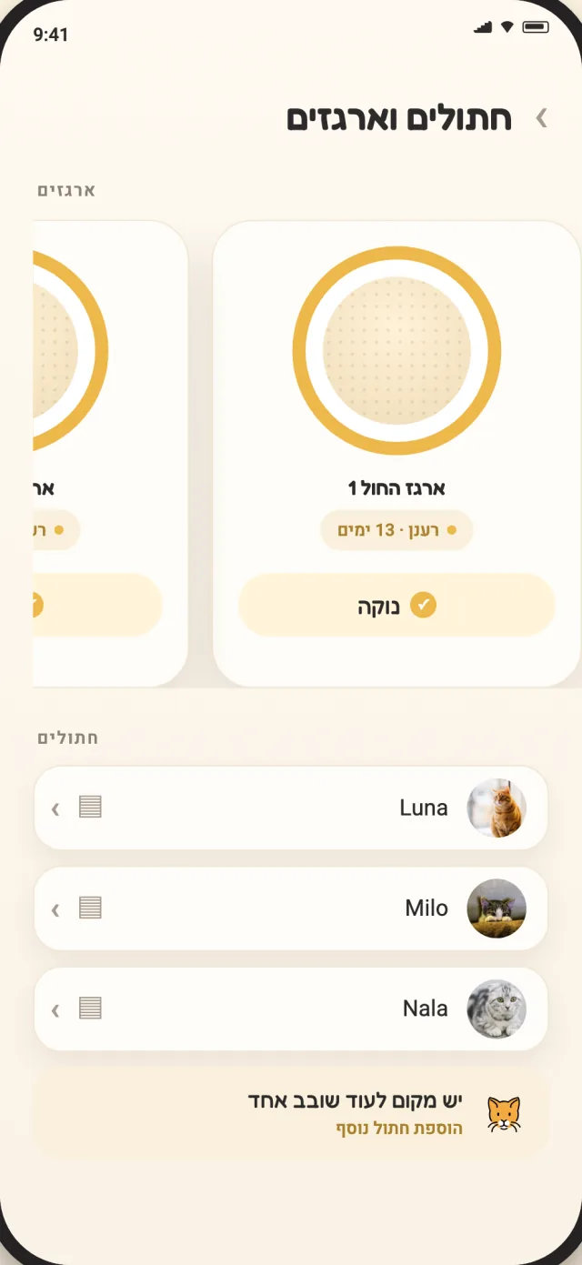 מסך החתולים והארגזים של CatLitter עם לונה, מילו ונאלה בתצוגה רגועה אחת