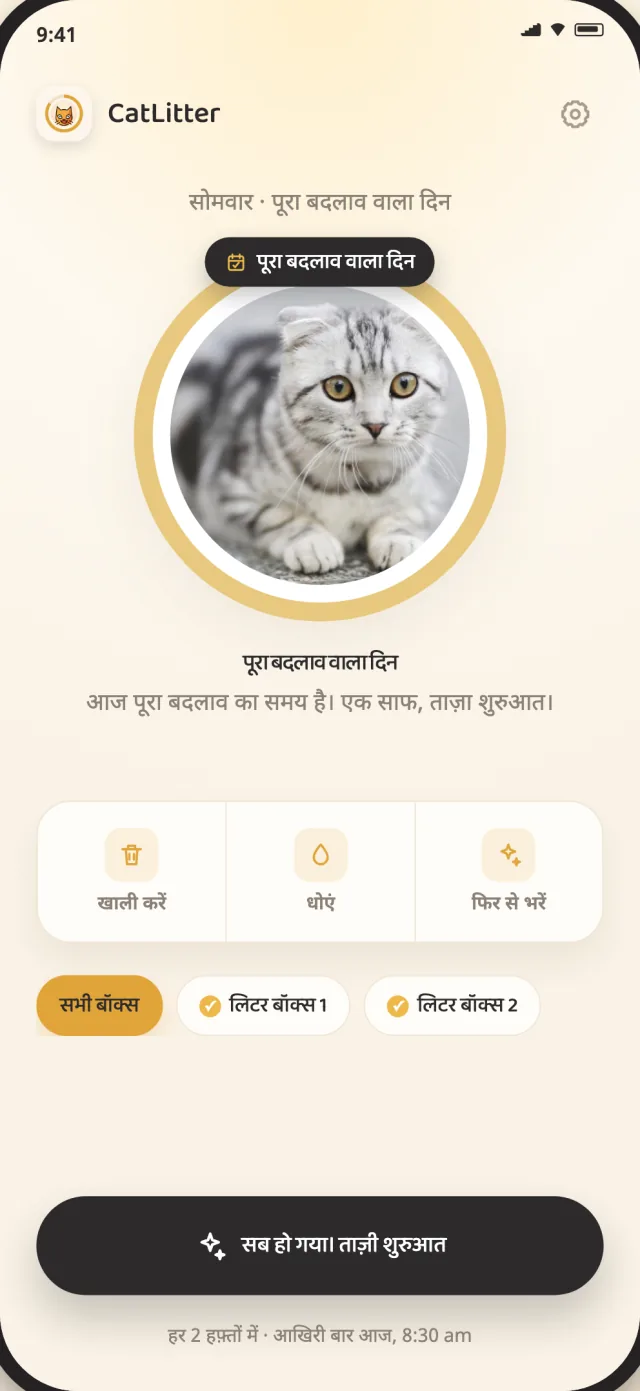 CatLitter की पूरे बदलाव वाली स्क्रीन दिखाती है कि लिटर को नई शुरुआत कब चाहिए