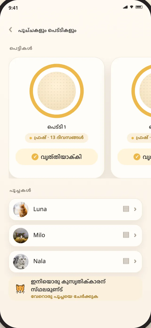 ലൂണ, മിലോ, നാള എന്നിവ ഒരു ശാന്തമായ കാഴ്ചയിൽ കാണിക്കുന്ന CatLitter പൂച്ചകളും പെട്ടികളും സ്ക്രീൻ