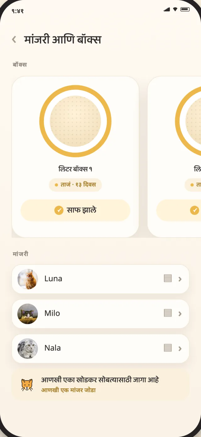 CatLitter च्या मांजरी आणि बॉक्स स्क्रीनवर लूना, मिलो आणि नाला एका शांत दृश्यात दिसतात