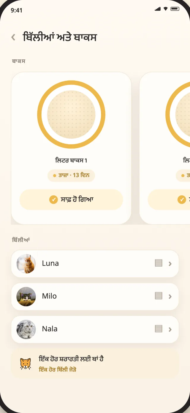 CatLitter ਦੀਆਂ ਬਿੱਲੀਆਂ ਅਤੇ ਬਾਕਸ ਸਕ੍ਰੀਨ ਤੇ ਲੂਨਾ, ਮਾਈਲੋ ਅਤੇ ਨਾਲਾ ਇੱਕ ਸ਼ਾਂਤ ਦ੍ਰਿਸ਼ ਵਿੱਚ