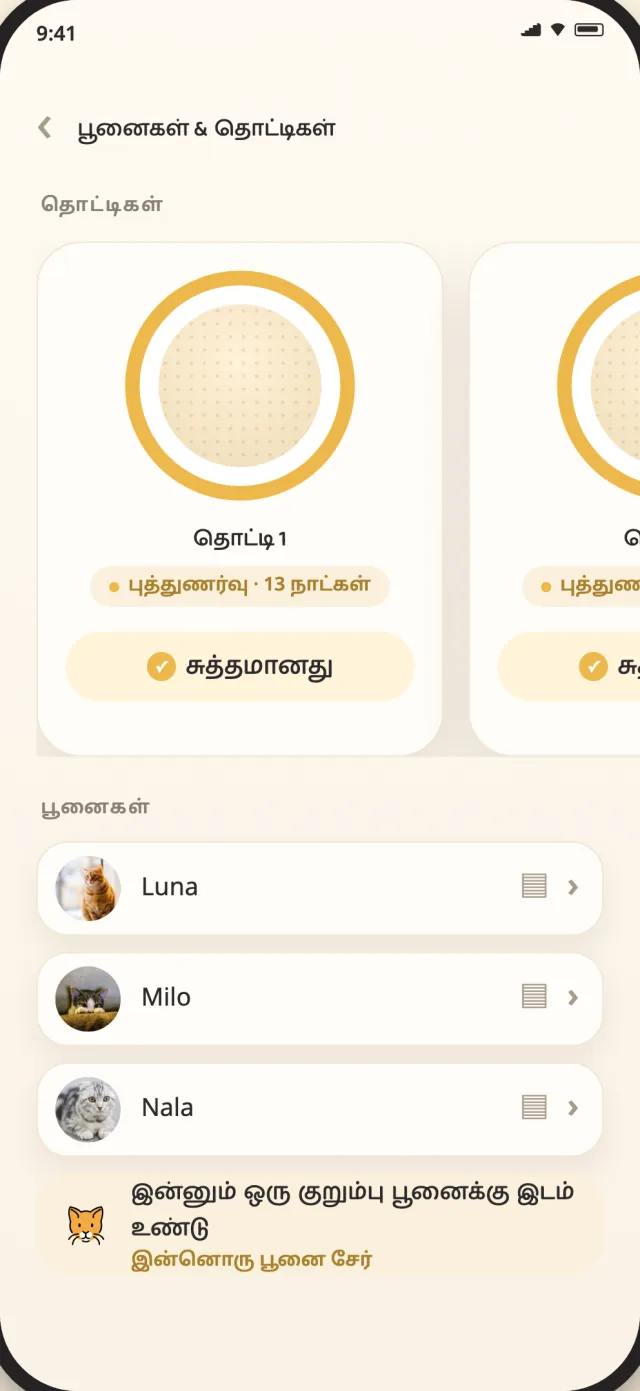 லூனா, மிலோ, நாலா ஒரே அமைதியான பார்வையில் காணப்படும் CatLitter பூனைகள் மற்றும் தொட்டிகள் திரை
