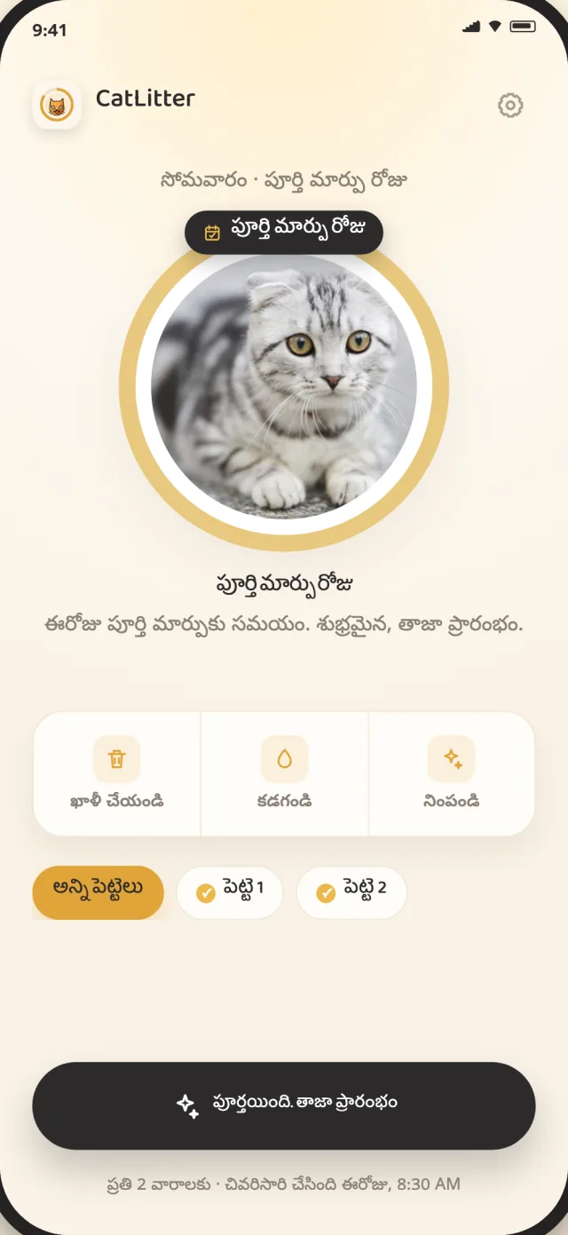 CatLitter పూర్తి మార్పు స్క్రీన్ లిట్టర్‌కు కొత్త ప్రారంభం ఎప్పుడు అవసరమో చూపిస్తుంది