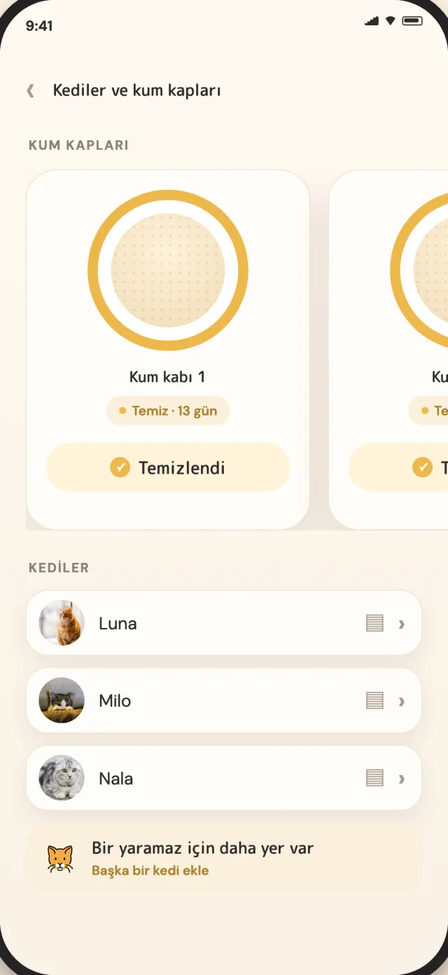 Luna, Milo ve Nala'yı tek bir sakin görünümde gösteren CatLitter kediler ve kaplar ekranı