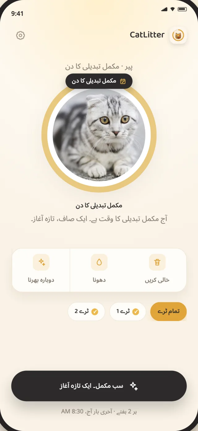 CatLitter کی مکمل تبدیلی کی اسکرین جو تازہ آغاز کا وقت دکھاتی ہے