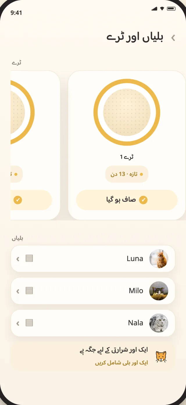 CatLitter کی بلیوں اور ٹرے کی اسکرین پر لونا، مائلو اور نالا ایک پرسکون نظر میں