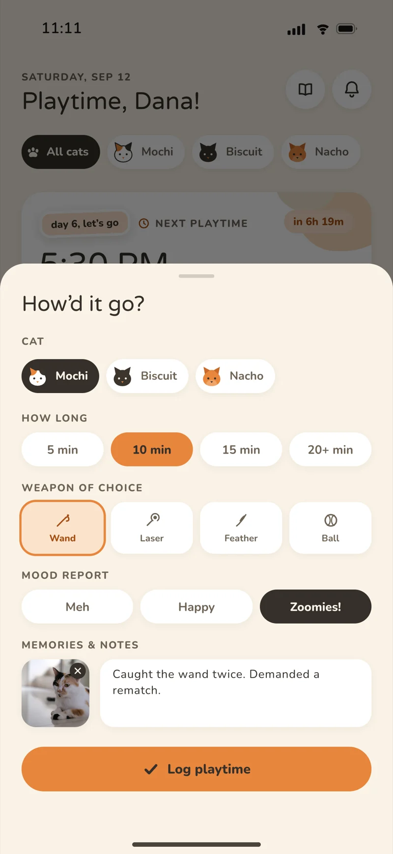 PurrPlay cat playtime log with duration, toy, mood, photo, and note